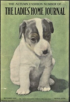 LADIES HOME JOURNAL 1900-1909 119 Classic Issue Collection On USB Flash Drive - Image 1 of 4