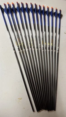 Easton Carbon Aftermath 500 Spine 7,3 gpi paquete de 15 Foto 1 de 4