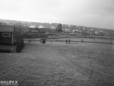 Foto: Cemitério fairview 988