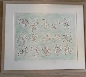 Alan Sonfist-Giardini di Sonesta-Litografia firmata e numerata con cornice a matita - Foto 1 di 11