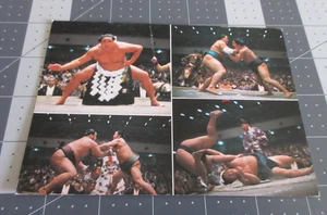 Sumo Wrestling Japan Postcard Beauty Color Postcard Nippon 70 Stamp - Picture 1 of 4