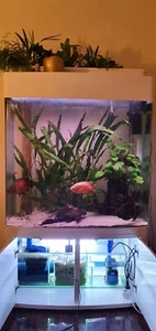 aquarium komplett - Bild 1 von 12
