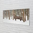 Tulup Acrylglas 140x70 Wandkunst Deer Winterwald