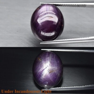 Piedra preciosa ovalada de zafiro estrella rojizo natural púrpura 6 rayos 19,82 quilates certificado GLC Foto 1 de 3
