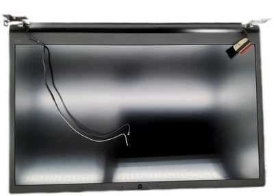 Экран Lenovo ThinkPad E15 поколение 2 15,6 дюйма полная высокая четкость в сборе - Изображение 1 из 2