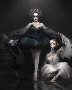 Home Wall Artwork Decor Ballet Black Swan Oil Painting Picture Printed On Canvas - Picture 1 of 2