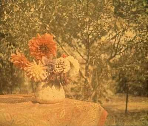 Autochrome - vue stéréoscopique sur plaque de verre, Le bouquet de Dahlias c1915 - Imagen 1 de 2