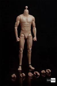 1/6 Scale Soldat Figur Körper G002 Bruce Lee Special Use Asian Muscle Body Stock - Bild 1 von 1