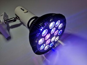 Full Spectrum E27 PAR38 Grow Lamp 12W-54W LED Aquarium Reef Light for Coral Fish