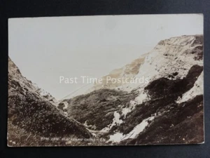 Isle of Wight: BLACKGANG CHINE - Old RP Postcard - Picture 1 of 2
