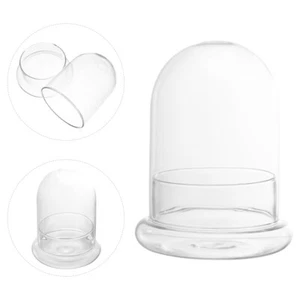 Ecological Bottle Moss Glass Jar Terrarium Bottles for Terrariums - Picture 1 of 12