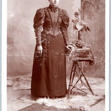 c1880s Roseland, Chicago, IL Young Lady Woman Cabinet Card Photo Koopman B18