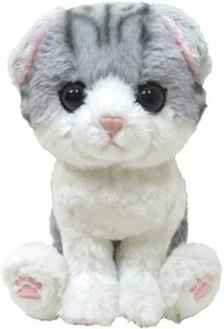 Sun Lemon Kitten Cat Plush Doll Gray Scottish Fold P-4212 - Picture 1 of 1