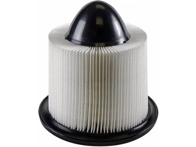 Filtro de aire Denso 99875PQTH 2003 2001 2002 2004 para Ford Excursion 2000-2005 Foto 1 de 2