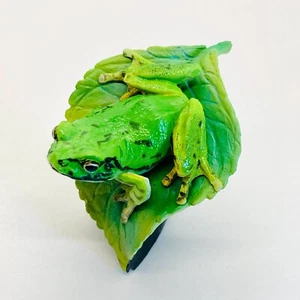 Zhangixalus arboreus Mini Figur Frosch selten Japan Ikimono Daizukan Bandai - Bild 1 von 10