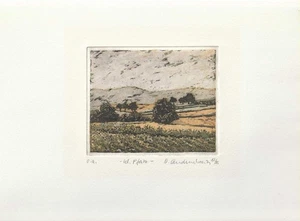 1985 Dietlinde Andruchowicz Landschaft Pfalz Original-Radierung signiert - Bild 1 von 2