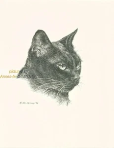 #118 BIRMESE CAT black * cat art print * pen & ink drawing by Jan Jellins - Picture 1 of 1