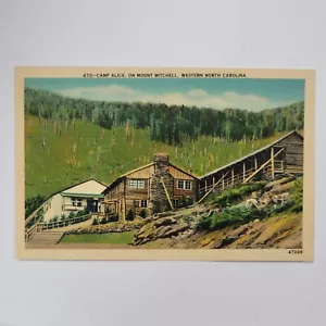 Camp Alice On Mount Mitchell Western North Carolina Vintage Linen Postcard - Picture 1 of 6