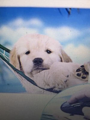 x2NEW/SEALED Fellowes Recycled Mouse Pads Nonskid/ Puppy in Hammock (FEL5913901) - Image 1 of 3