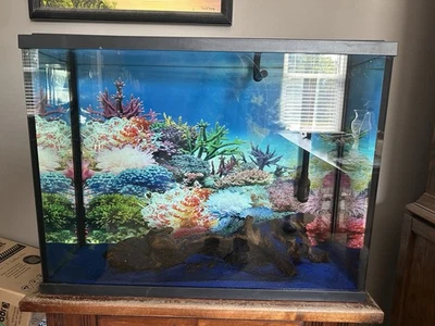 40 Gallon Aquarium For Sale. Tank Comes With  Everything. - Image 1 of 2