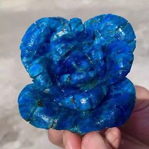 280G Natural Azul Aptito Flor Forma Palmera Forma Reiki Chakra Sanación - Imagen 1 de 19