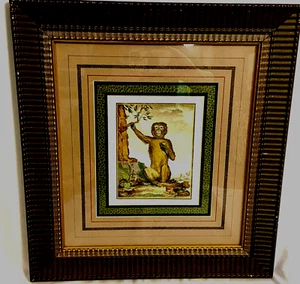 After George Buffon Monkey Engraving, Framed and Matted - Picture 1 of 7