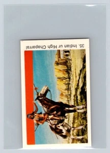 INDIAN UR HIGH CHAPARRAL 1970s Dina Idoler #35 - Picture 1 of 2