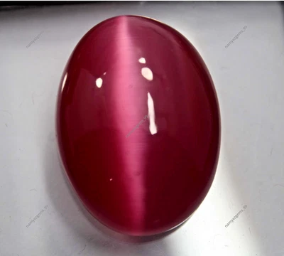 87 Cts Excellent Natural Light Pink Cats Eye Cabochon Loose Gemstone Shape - Image 1 of 4