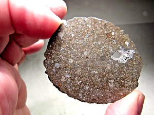 GREAT DEAL! SUPERIOR SLICE! BEST NWA 15498 CV3 CARBONACEOUS METEORITE! 8.5 GMS - Picture 1 of 8