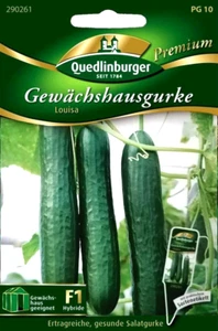 Gewächshausgurke Louisa F1 - rein weiblich blühende Salatgurke - Gurken Samen - Bild 1 von 2