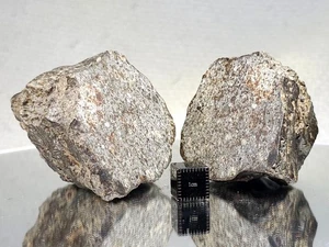 NWA 869, L3-6, 127g+141g, Due metà dello stesso meteorite, fantastico display, raro - Foto 1 di 24