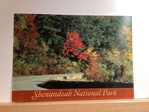 Herbstszene entlang der Skyline-Fahrt: Shenandoah, VA - Vintage Postkarte - Bild 1 von 3