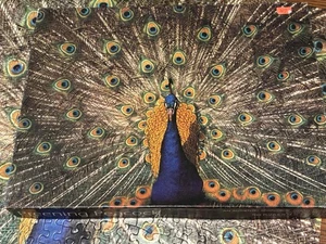 Vintage Springbok Preening Peacock Jigsaw Puzzle 500+ pieces PZL4119 Made in USA - Picture 1 of 10