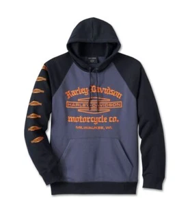 Harley-Davidson Sudadera con Capucha Hombre "Old English Stacked" 96005-25VM - Imagen 1 de 2