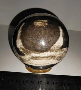 PETRIFIED WOOD FOSSIL SPHERE BALL FREE STONE'S STAND, JAVA, INDONESIA, 60MM - Picture 1 of 5