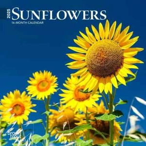 Sunflowers | 2025 7 x 14 Inch Monthly Mini Wall Calendar - Picture 1 of 2