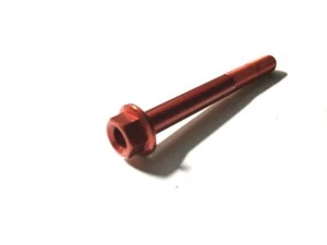 Rebe ter En ergal rot Sechskantkopf geflanscht M6x55 (Maße Ø6x55 mm) - Bild 1 von 3