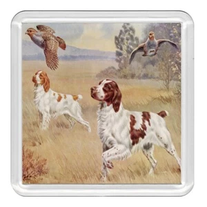 Brittany Spaniel Dogs Dog Acrylic Coaster Novelty Drink Cup Mat Great Gift - Picture 1 of 1