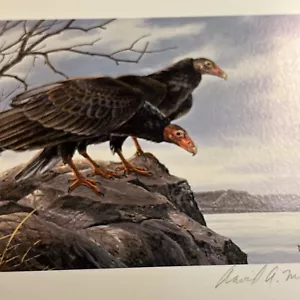 1980, Bussard-Stempeldruck, David Maass, Truthahngeier, 40/777 neuwertig, kein Schaden - Bild 1 von 12