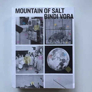 Bindi Vora Mountain of Salt (Paperback) Like New - - Bild 1 von 8