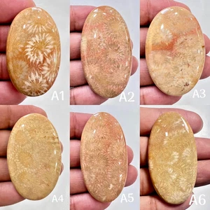 100% NATURAL GORGEOUS YELLOW CORAL OVAL CABOCHON LOOSE GEMSTONE - Picture 1 of 7