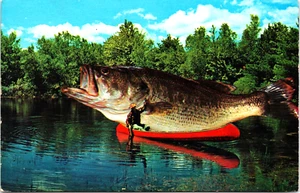 "Der Große ist weggekommen" RIESEN Fisch und Mann im Boot ÜBERTRIEBEN POSTKARTE D1 - Bild 1 von 2