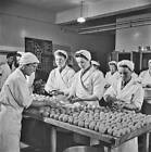 students roll fishcakes made salmon herring & potatoes a kitche- 1942 Old Photo