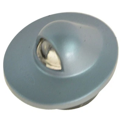 Lámpara de luz de matrícula trasera plateada izquierda o derecha OEM para camioneta Ford SUV NUEVO Foto 1 de 4