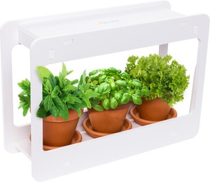 Garden Window Products For Sale Ebay
