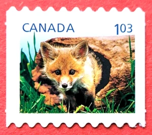 Canada Stamp #2427ii "Baby Wildlife - Red Fox" Coil Die Cut MNH 2011 - Picture 1 of 1