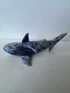 Zuni Blue Shark Fetish Cody Nastacio Sodalite SIGNED 4001 - Picture 1 of 6