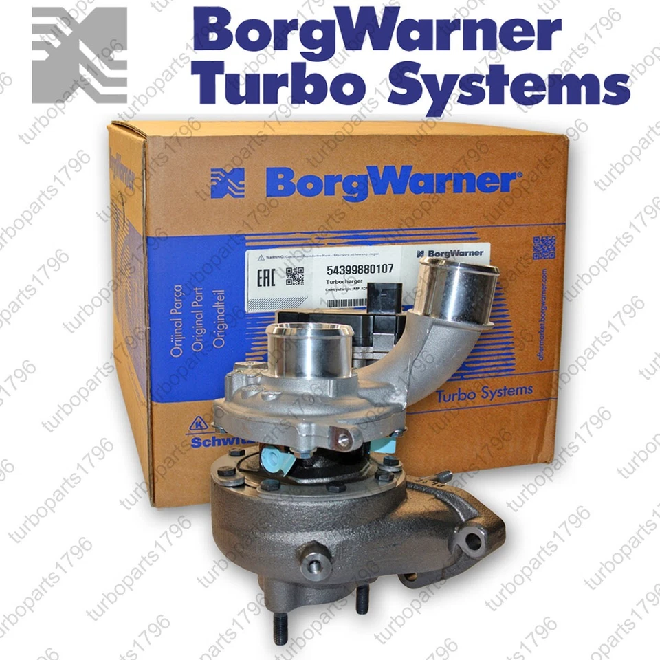BorgWarner 54399880107