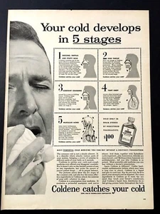 1956 Coldene Ad Your cold develops in 5 stages. The most powerful medicine. - Picture 1 of 1