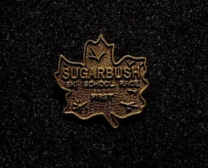 SUGARBUSH Ski School Race ‘First’ Ski Pin VERMONT Souvenir Travel Lapel - Picture 1 of 3